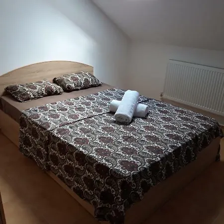 게스트하우스 Vila Darius Năvodari