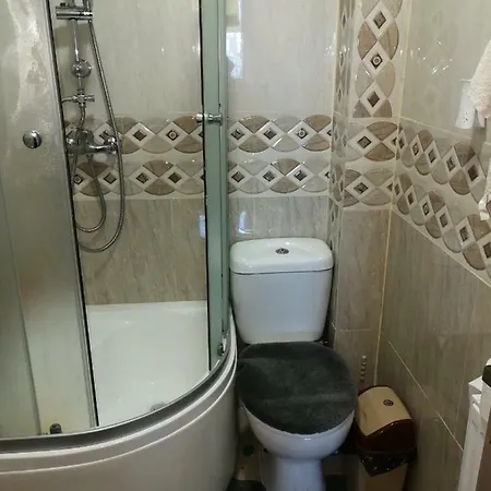 Guest house Vila Darius Navodari