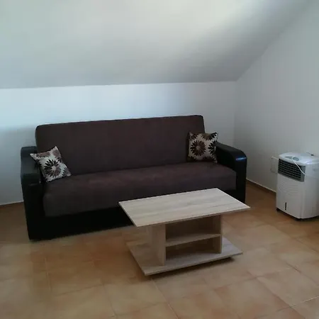 Vila Darius Guest house *
